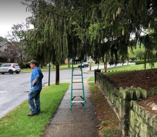 W.B. Landscaping: Service Image-1 W.B. Landscaping: Service Image-1