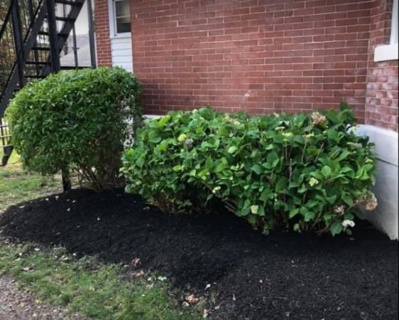 W.B. Landscaping: Service Image-5 W.B. Landscaping: Service Image-5
